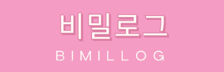 비밀로그